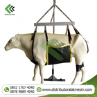 Cow Lift (Cattle carrier) 1
