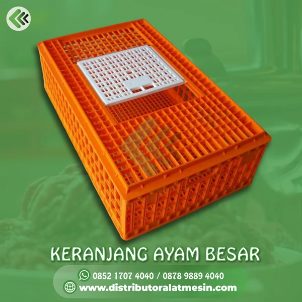Large orange - chicken basket